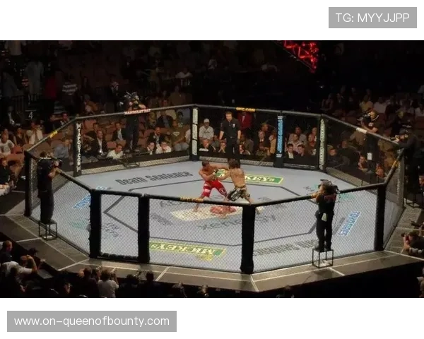 盗播行为致UFC每场损失数万观众，订阅制有望缓解此问题